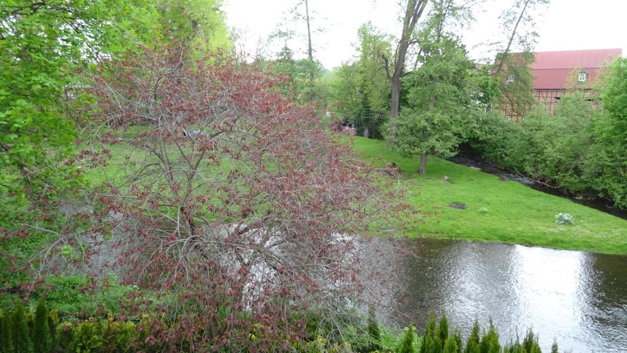 Villa An Der Bode Thale Εξωτερικό φωτογραφία